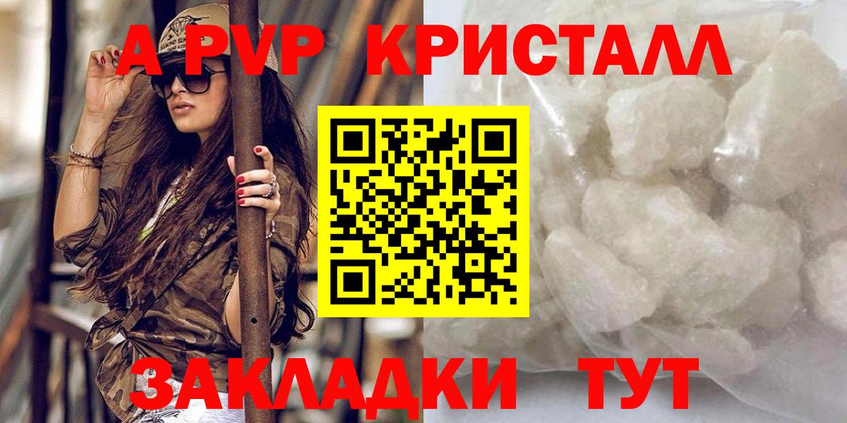 Альфа ПВП  Альфа ПВП СК КРИС  Вход с VPN  A PVP СК  Магадан  Alfa_PVP крисы CK 