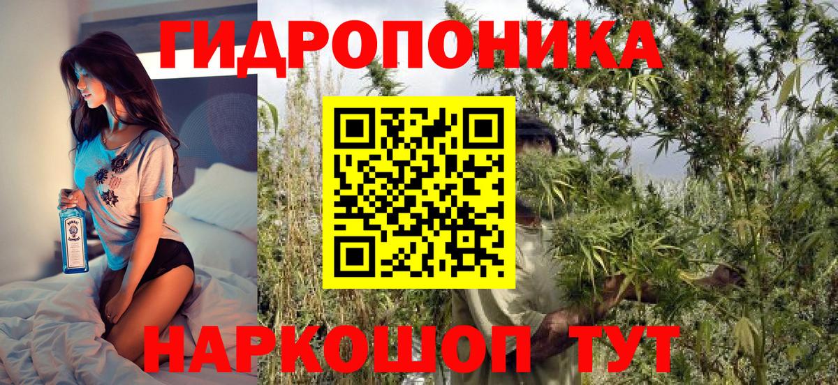 Конопля планчик Магадан